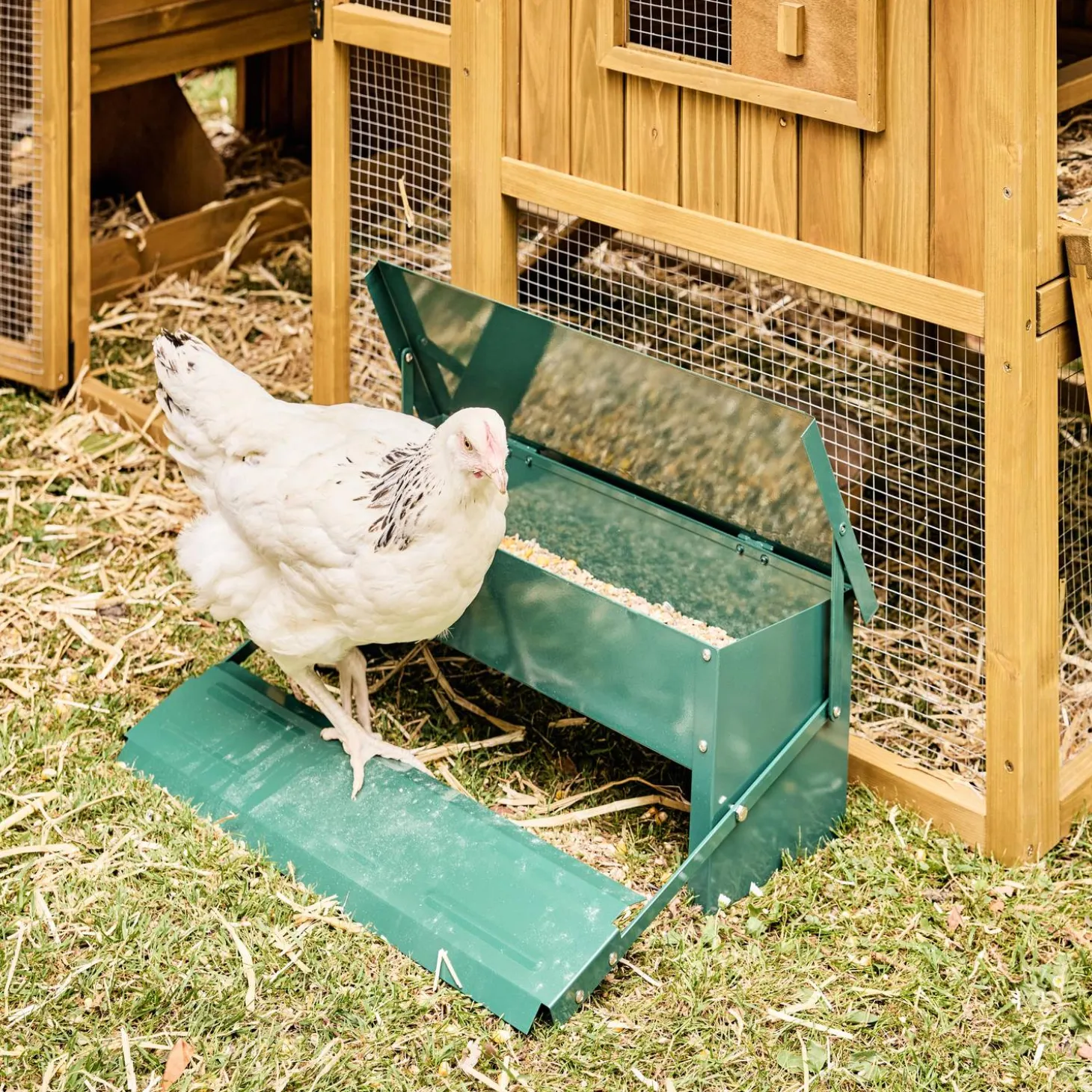 Automatic chicken feeder, 5kg