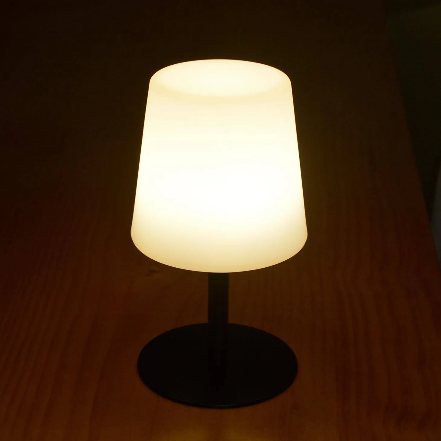 16cm LED Indoor/Outdoor Table Lamp