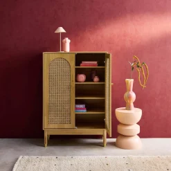 2-door shoe storage cabinet / small buffet