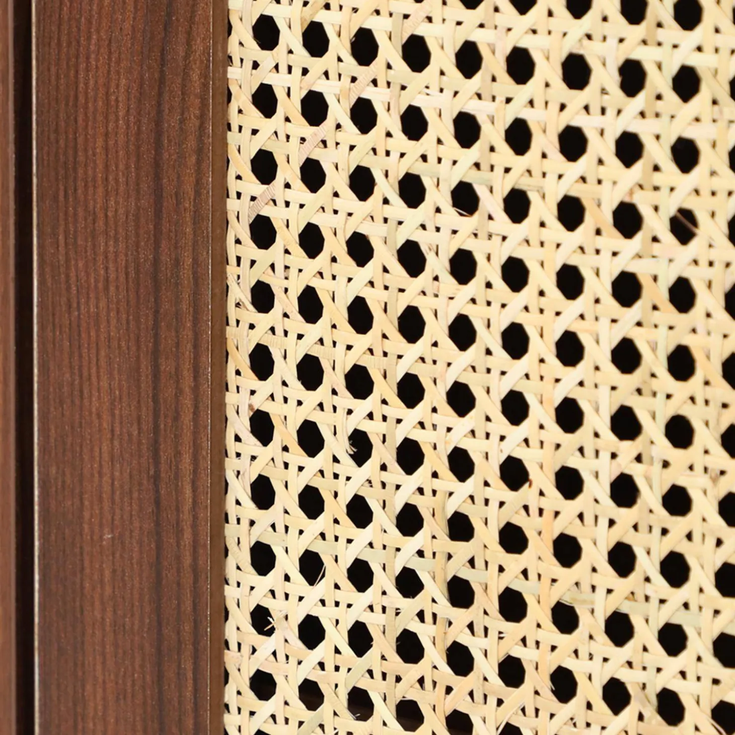 2-door shoe storage cabinet / small buffet