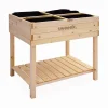 Elevated wooden planter with polycarbonate greenhouse