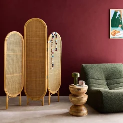 Folding indoor screen in rattan and cane