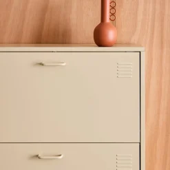 Industrial Metal Shoe Cabinet with 3 Drawers