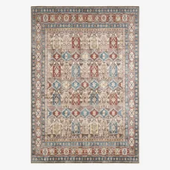 Multicolored Oriental/Persian Pattern Indoor Rug