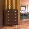 Vintage chest of drawers with wood decor and stainless steel, 5 drawers