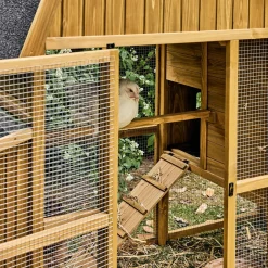 Wooden chicken coop, fir wood hen house